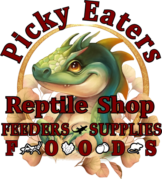 Vendor Logo