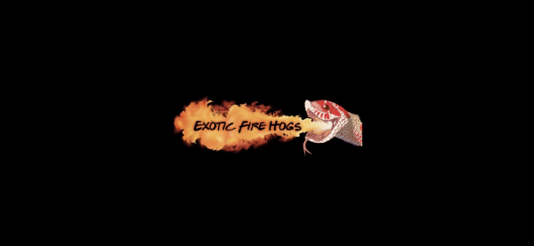 Vendor Logo