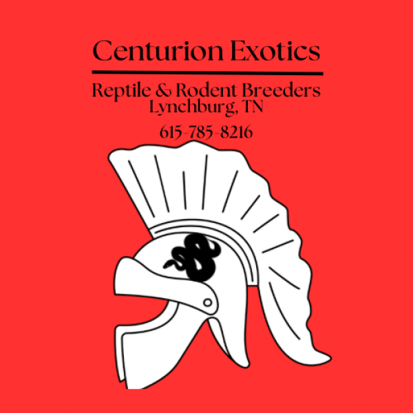 Vendor Logo