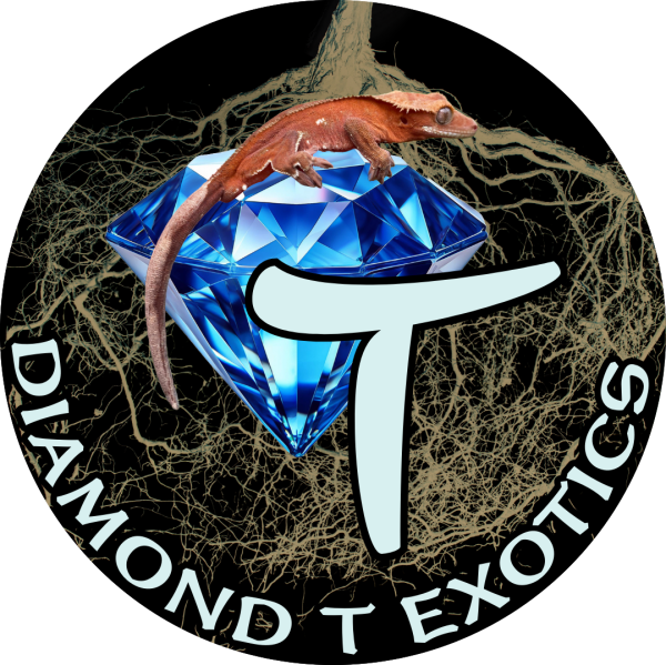 Diamond T Exotics Logo