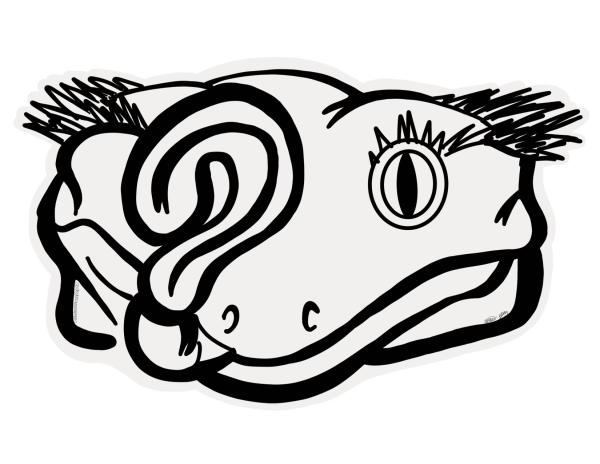 The Anonymous Geckos Logo