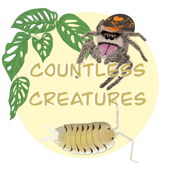 Vendor Logo