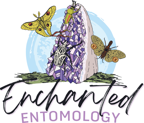 Enchanted Entomology Logo