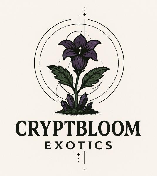 Vendor Logo