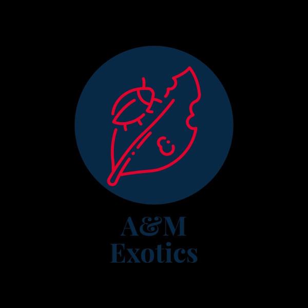 Vendor Logo