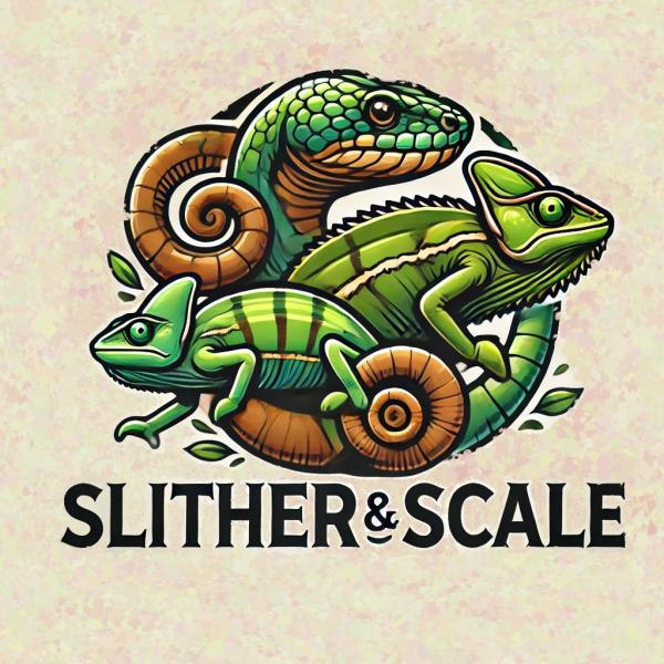 Vendor Logo