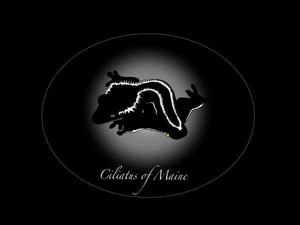 Vendor Logo