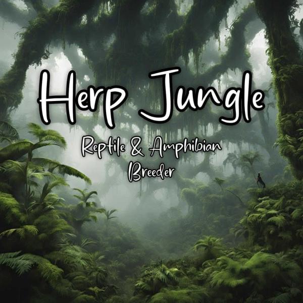Herp Jungle Logo