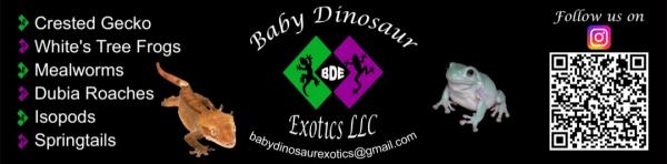Vendor Logo