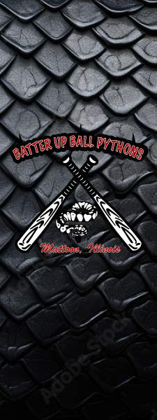 Batter Up Balls Logo