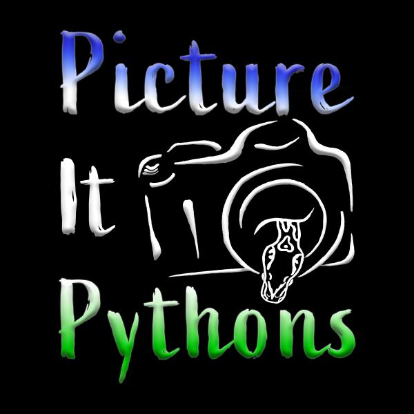 Picture It Pythons Logo