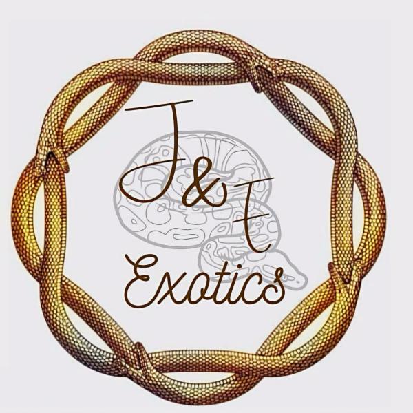 Vendor Logo