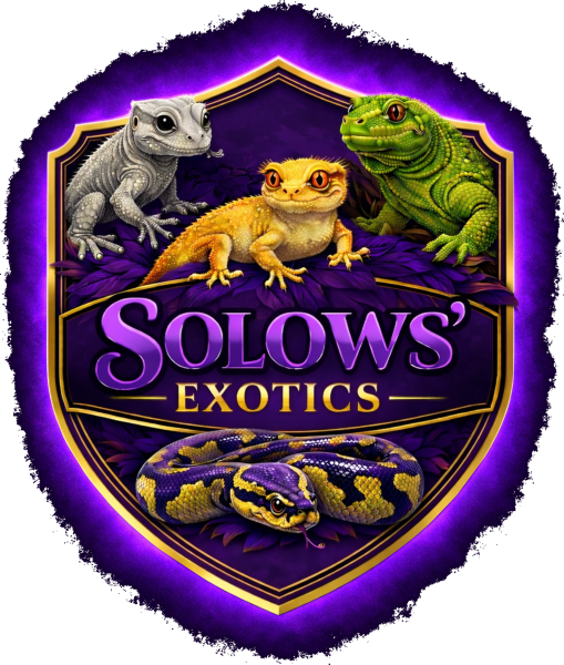 Vendor Logo