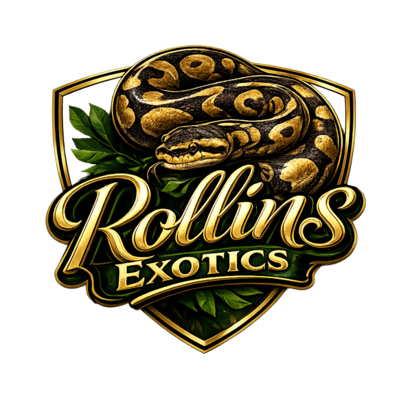 Vendor Logo