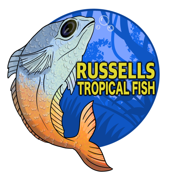 Vendor Logo