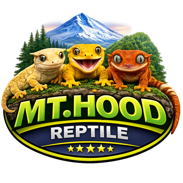 Vendor Logo