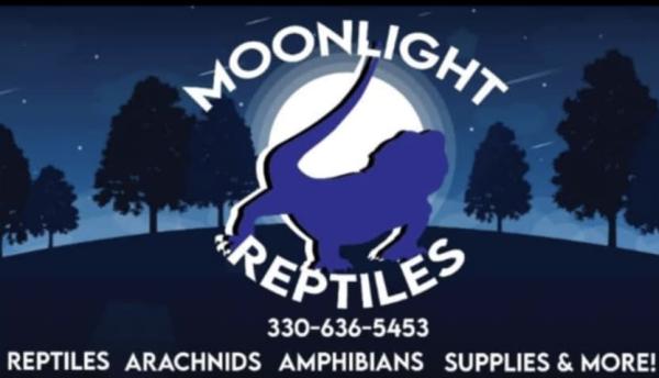 Vendor Logo