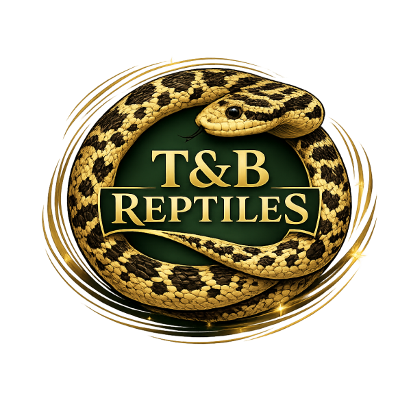 Vendor Logo