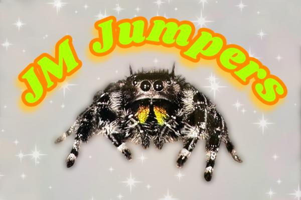 Vendor Logo