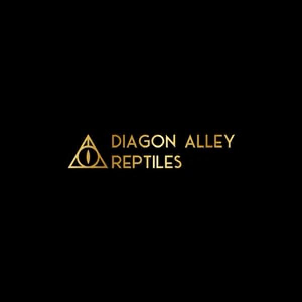 Vendor Logo