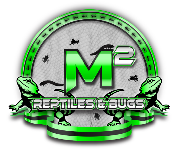 Vendor Logo