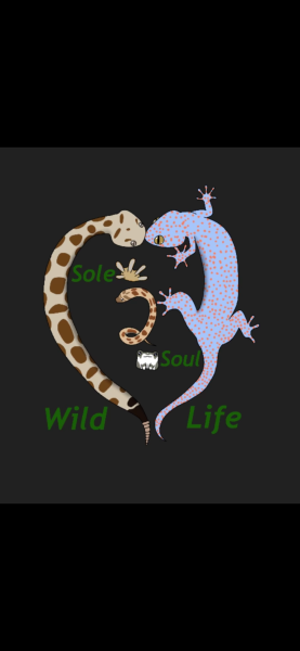 Vendor Logo