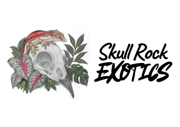 Vendor Logo