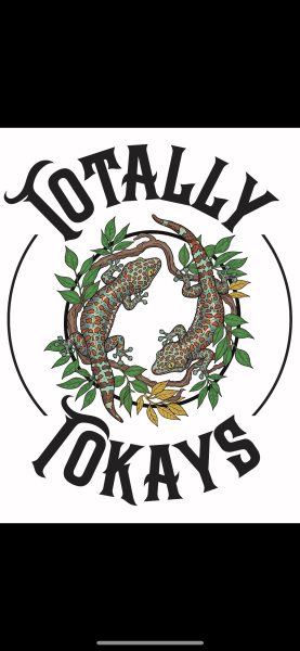 Vendor Logo