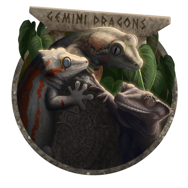 Gemini Dragons Logo