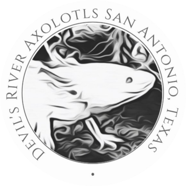 Devil's River Axolotls  Logo