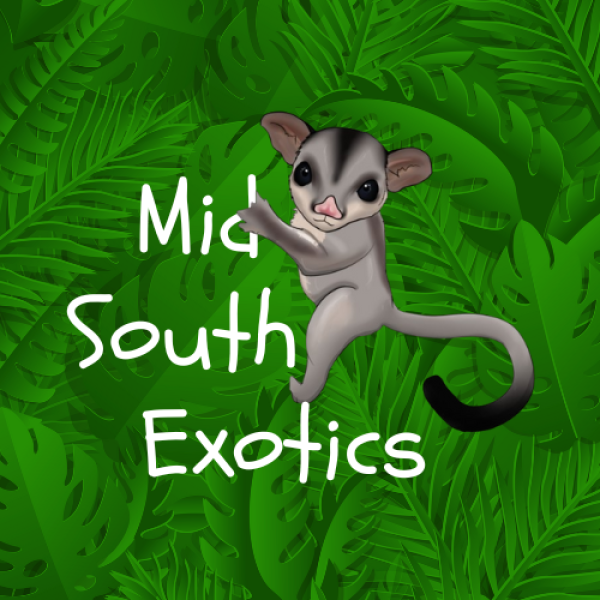 Midsouth Exotics Logo