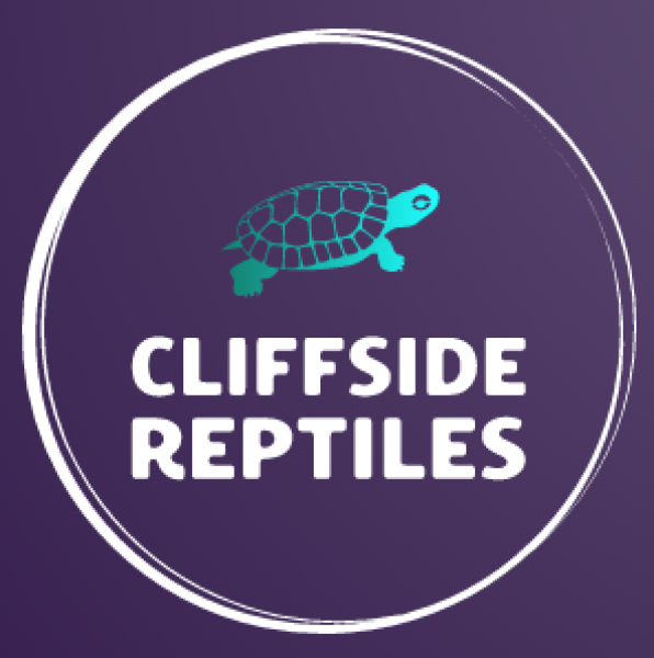 Vendor Logo