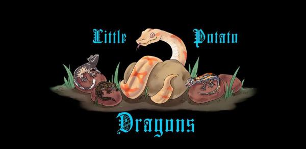 Little Potato Dragons Logo