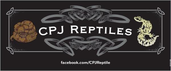 Vendor Logo