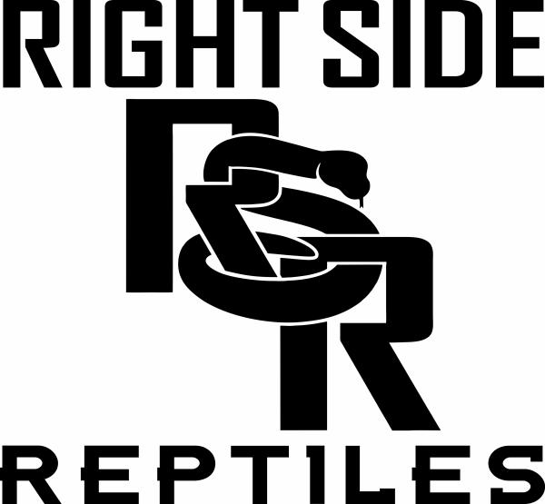 Vendor Logo