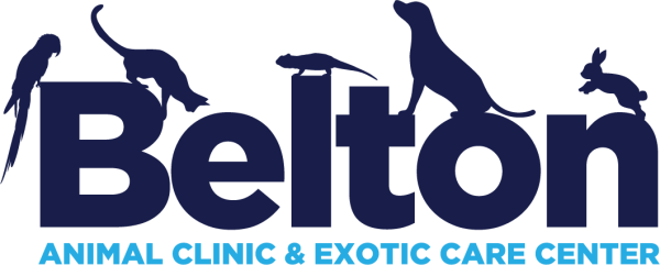 Vendor Logo