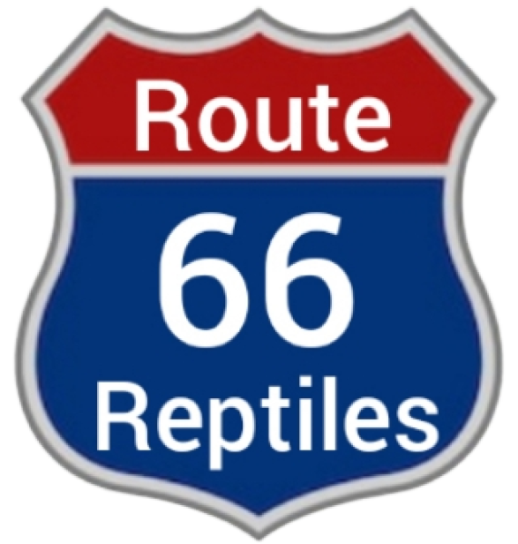 Route 66 Reptiles Logo