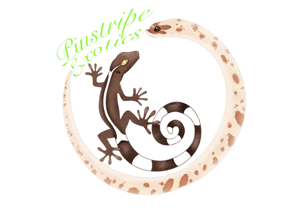 Vendor Logo