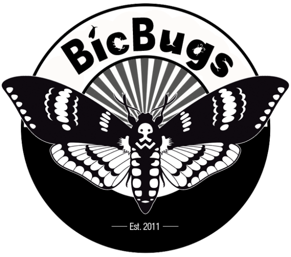 BicBugs Logo