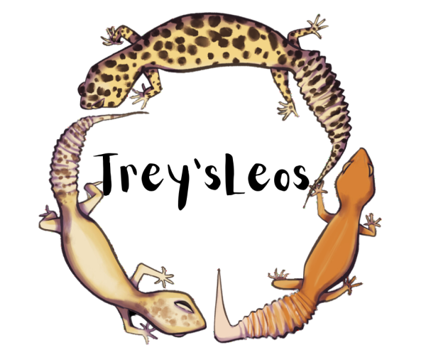 Vendor Logo