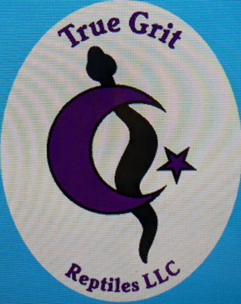 Vendor Logo