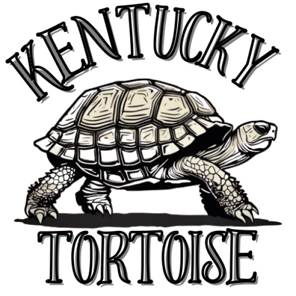 Kentucky Tortoise Logo