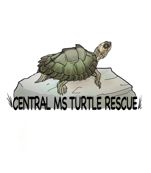 Vendor Logo