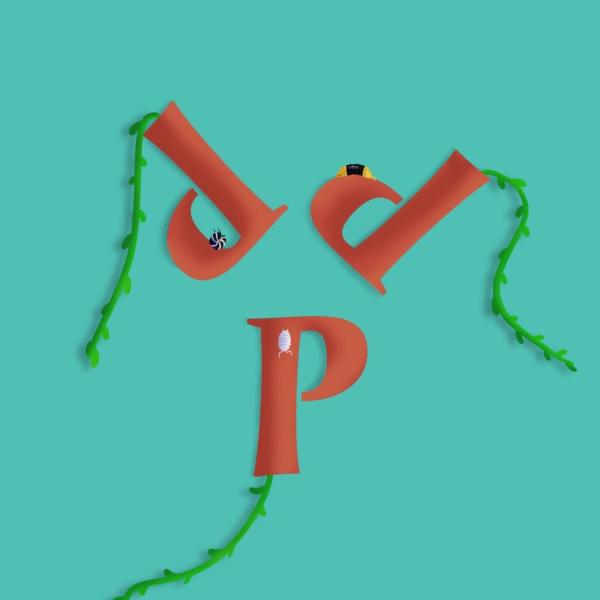 Pumpkin Patch Pen-Dragons Logo