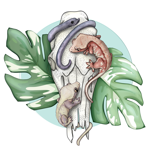 Vendor Logo