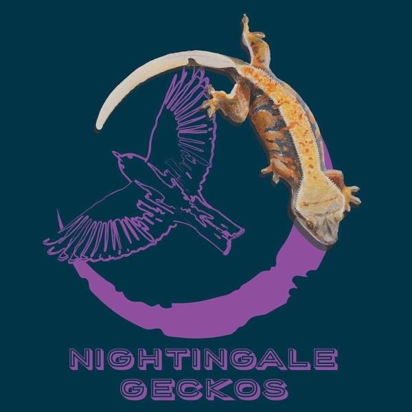 Nightingale Geckos Logo