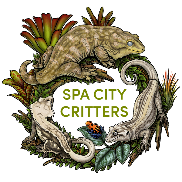 Vendor Logo