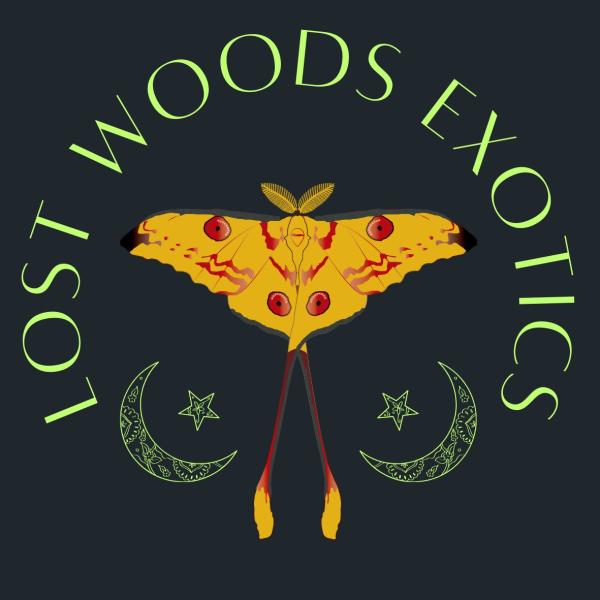 Lost Woods Exotics Logo