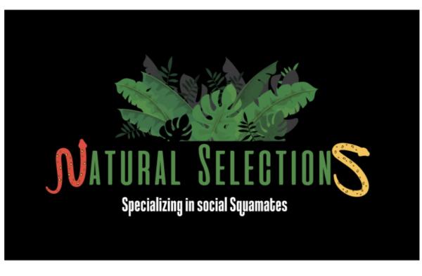 Vendor Logo