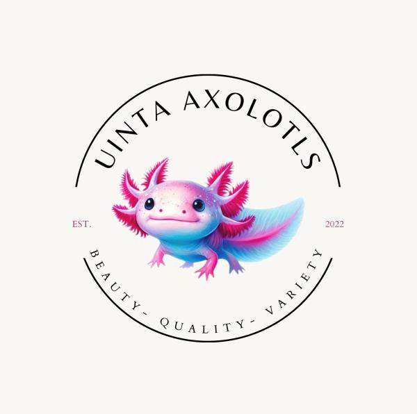 Vendor Logo